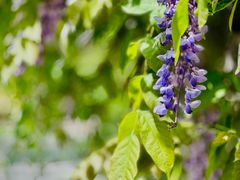 -大钟寺古钟博物馆