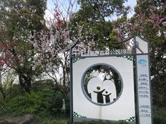 -杭州半山国家森林公园