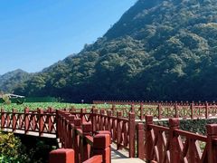 -广州市石门国家森林公园