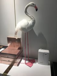 点击看大图 -INNEREAL英妮芮医疗美容