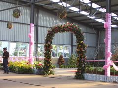 菊花展-三圣花乡旅游区