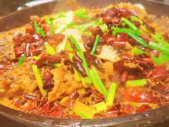 老板恋上鱼-老板恋上鱼(恒隆广场店)