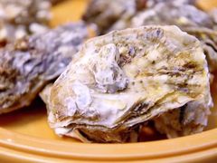 -龍歌自助小火锅(李沧丽达店)