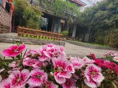 -慢丽江·云南野生菌土鸡锅(西山店)