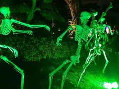 -七彩云南欢乐世界