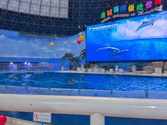 -泉城欧乐堡海洋极地世界
