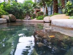 -稷泽·海丽宾雅温泉度假酒店