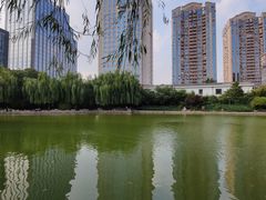 -团结湖公园