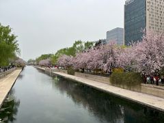 -元大都城垣遗址公园