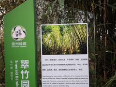 -桤木河湿地公园