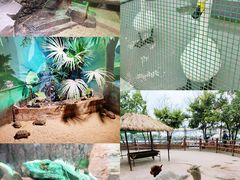 -海合安天津极地海洋公园