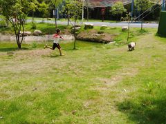 -老味道1992(武当山店)