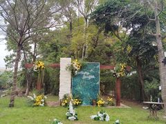 -陶缘一号·四季缘·老字号顺德菜·户外婚礼家宴(西滘店)