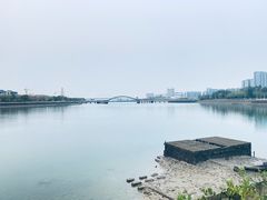 -五缘湾湿地公园