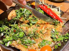 烤罗非鱼-云海肴·汽锅鸡·云南代表菜(天山百盛优客店)