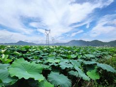 -海角城白海豚浪漫海滩