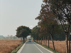 -良渚古城遗址公园