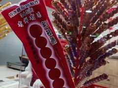 -和禄德冰糖葫芦
