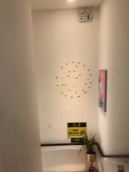 -LJOY丽锦造型·烫发染发
