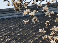 -无锡梅园公园