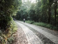 -紫金山山顶公园