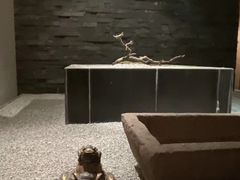 -新荣记(建国门外大街店)