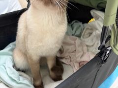 -达爱动物医院·犬猫分区·CT·复杂眼科(远洋山水分院)