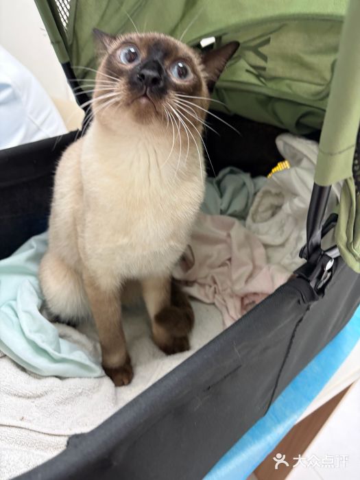 达爱动物医院·犬猫分区·CT·复杂眼科(远洋山水分院)图片