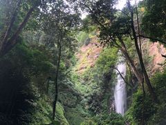 -莫里热带雨林景区