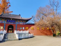 -冶父山国家森林公园