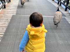 -J Create城市露营咖啡·简餐·宠物(上海动物园店)