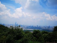 -茶颜悦色(银盆岭万达广场店)