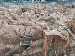 -昆明动物园