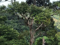 -槟城宝盛园民宿