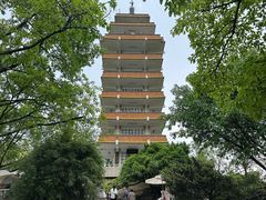 -鹅岭公园瞰胜楼