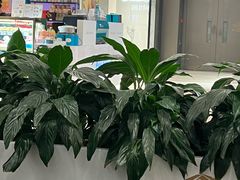 -PAUL LAFAYET 法式甜品(港汇广场店)
