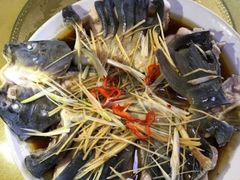 -煲来饱去冷水鱼