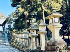 -奈良公园