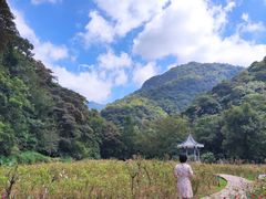 -广州市石门国家森林公园