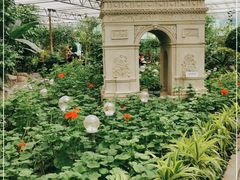 -南宫五洲植物乐园