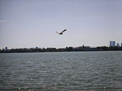 -金鸡湖景区
