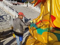 -长虫山生态公园风景林