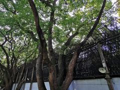 -上海宋庆龄故居纪念馆