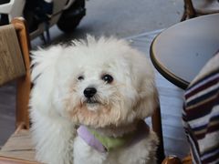 -方炉·天然食材面包店(丹凤店)