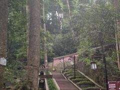 -都江堰普照寺
