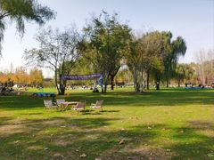 -思念果岭悦温泉