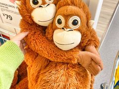 -宜家家居(哈尔滨商场店)