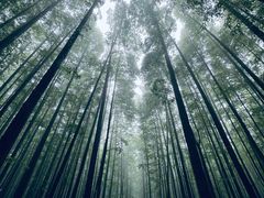-山王坪喀斯特国家生态公园