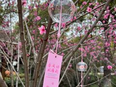 -金鸡湖桃花岛