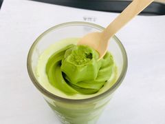 -雪绿茶博物馆